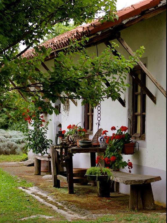 Agriturismo Viridarium Castellucchio Exterior photo
